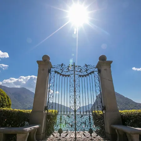 Of - Happy * Lugano